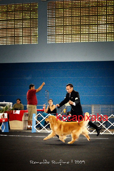 Clique sobre a foto para fechar